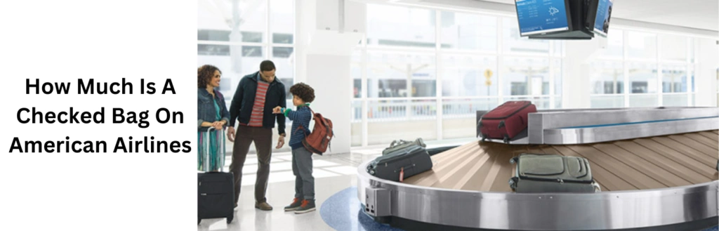 How Much Is A Checked Bag On American Airlines