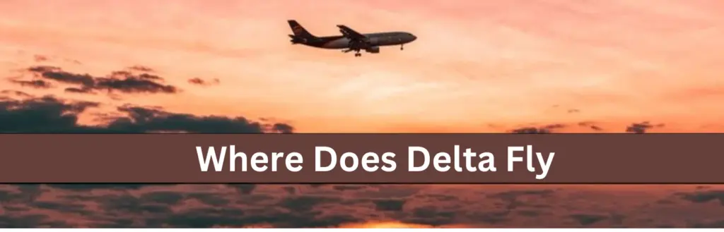 Where Does Delta Fly