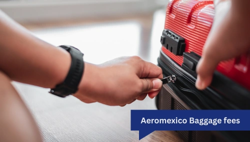 Aeromexico Checked Baggage Fee and Policy Guide