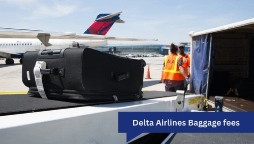 Delta Airlines Baggage fees